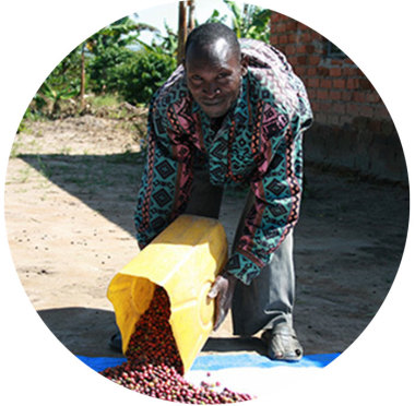 Koffieproject Oeganda