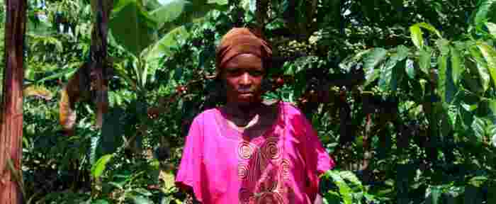 Een dag van een koffieboer in Oeganda, Miss Mable vertelt